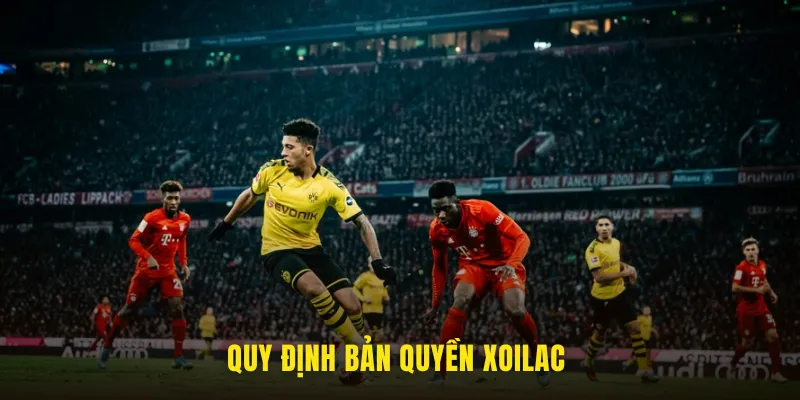 quy định bản quyền xoilac