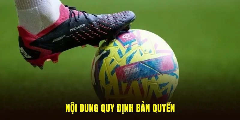 Nội dung quy định bản quyền