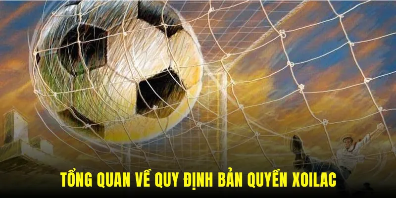 Tổng quan về quy định bản quyền Xoilac TV