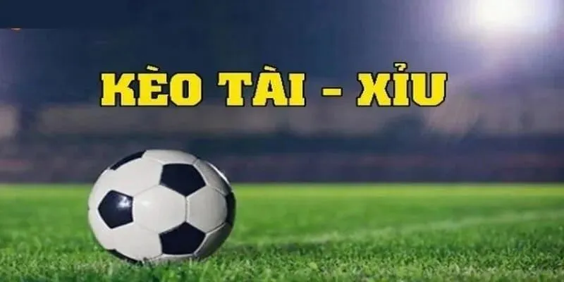 Tham khảo cách thức soi kèo với dạng tài xỉu